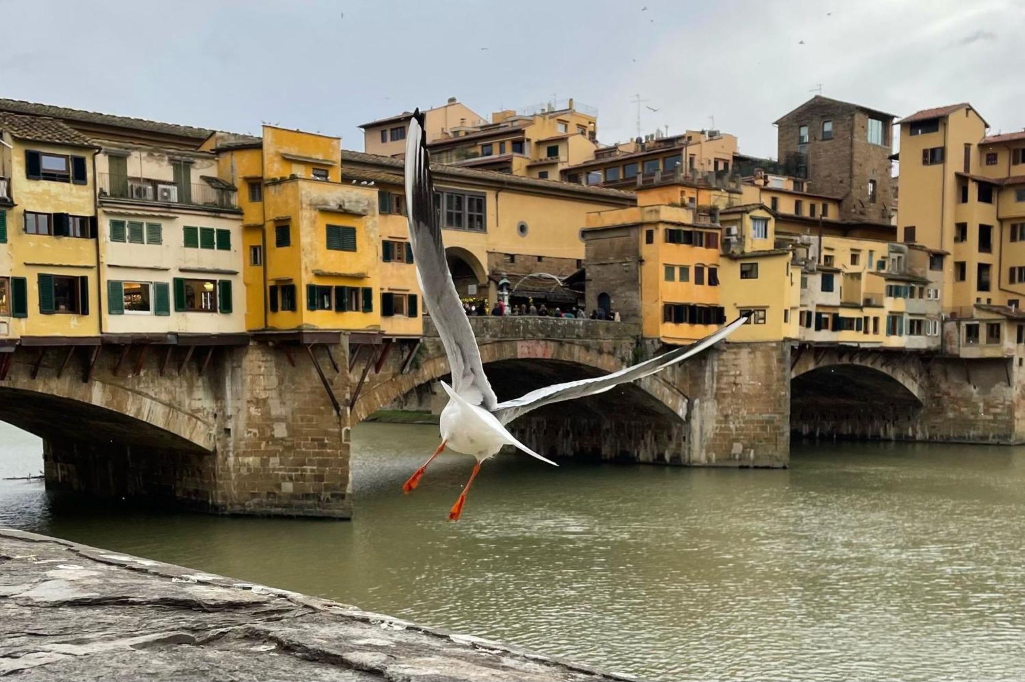 Vintage Apartments In The Heart Of Florence Luaran gambar